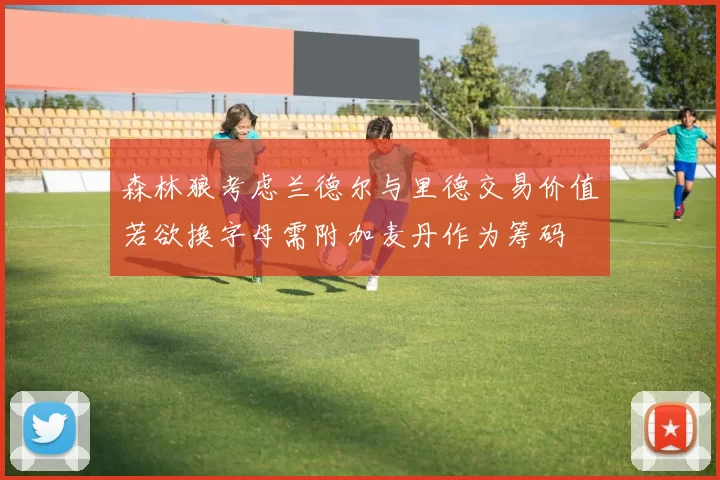 森林狼考虑兰德尔与里德交易价值若欲换字母需附加麦丹作为筹码